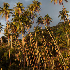 Moving about my way cover - Seven0Four