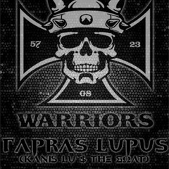Capras Lupus "This Time" (Feat. Godilla & Dj TMB)