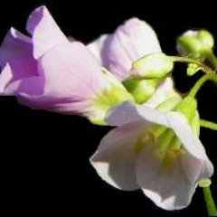 World Apart Remix - Harbor