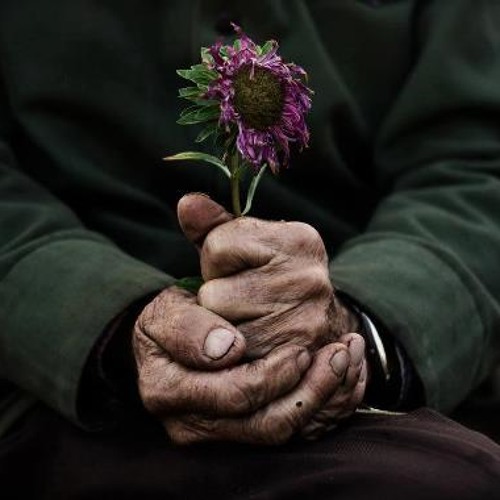 Aref  Daryacheye Noor عارف دریاچه نور
