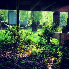 Labrador- Mo I Rana ft. Stanley Clark