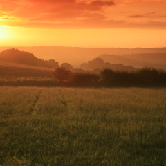 Summer's Breeze