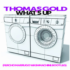 Thomas Gold - Whats Up (FM Washmachine Bootleg)