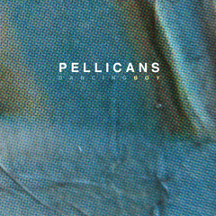 Pellicans - It's Raining