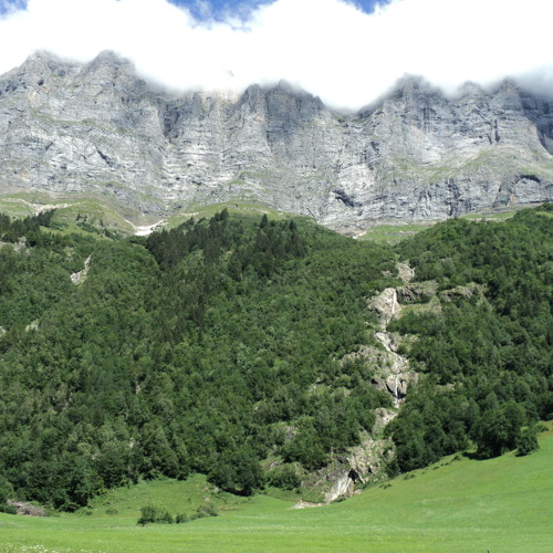 Catttnip - Hohe tauern