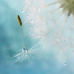 อ ย่ า ทำ ใ ห้ รั ก