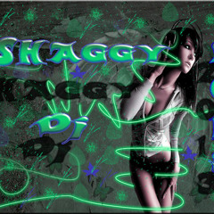 Fuego - Si me Pego ( Merengue Remix Dj Shaggy )