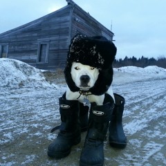 Shakin' In My New Boots demo