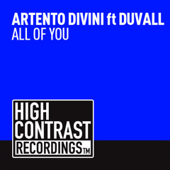 Artento Divini feat. Duvall - All Of You (Divini & Warning RMX) preview