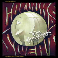 05 Little Lady - Coloured Sweat