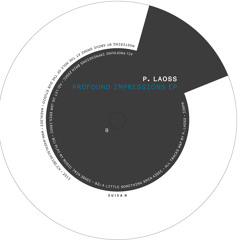 waehl003 | P. Laoss - B1 Play My Music | PREVIEW