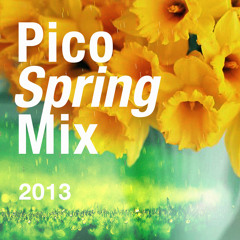 Dj pico - Spring 2013