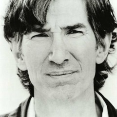 Pancho & Lefty (Townes Van Zandt cover)