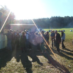 Impro-Primate-Antistatek-electro-