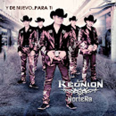 100%musica