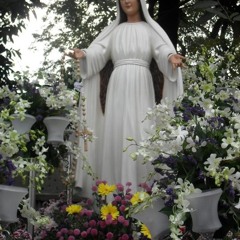The Holy Rosary ( Luminous )