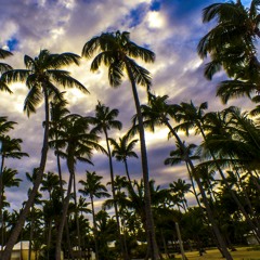 Widespread Panic - Gimme at Punta Cana