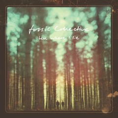 Fossil Collective - Boy With Blackbird Kite