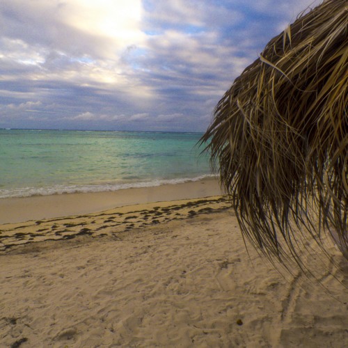 Widespread Panic - Chainsaw City at Punta Cana