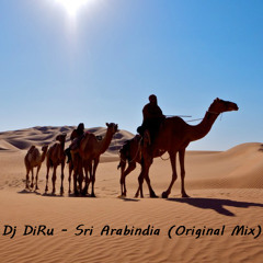 Dj DiRu - Sri Arabindia (Original Mix) **Free Download**