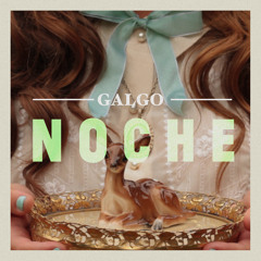 Noche / GALGO