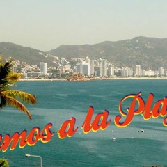 Loona - Vamos A La Playa (C-Rius Bootleg)
