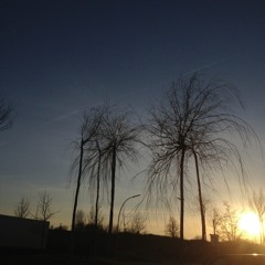 Blue Sky  ( The Summer Comes )