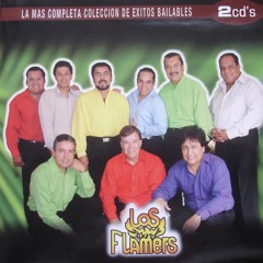 Los Flamers - VAmos a platicar
