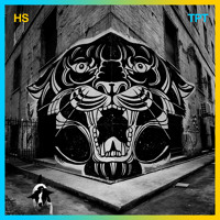 Homeboy Sandman - The Plot Thickens (MP3) Homeboy Sandman - The Plot Thickens (MP3)