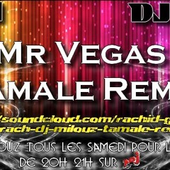 DJ RACH & DJ MILOUZ TAMALE REMIX MR VEGAS