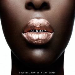 Sky James x Colossal Mantis "Sunday" RMX