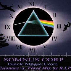 Somnus Corp. - Black Magic Love (Visionary vs Floyd Mix by R.I.P.)