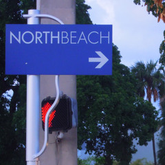 The Tuesday Night Track