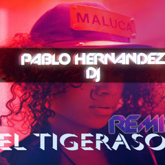 Maluca - El Tigeraso (Pablo Hernandez DJ Remix)