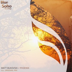 Matt Bukovski - Phoenix (Original Mix) @ A State of Trance 604 (14-03-2013)