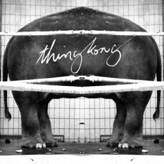 Thing Kong - Consult The Horse