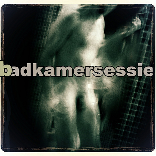 Badkamersessie 2013