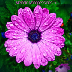 Melodic Progressions 5