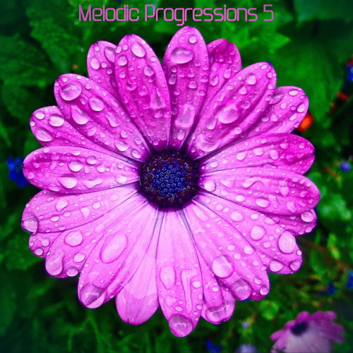 Melodic Progressions 5