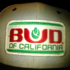 Mind Game at On1productions Pocketband.com