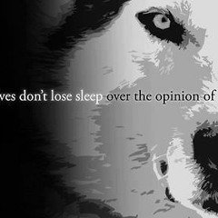 Running with the pack