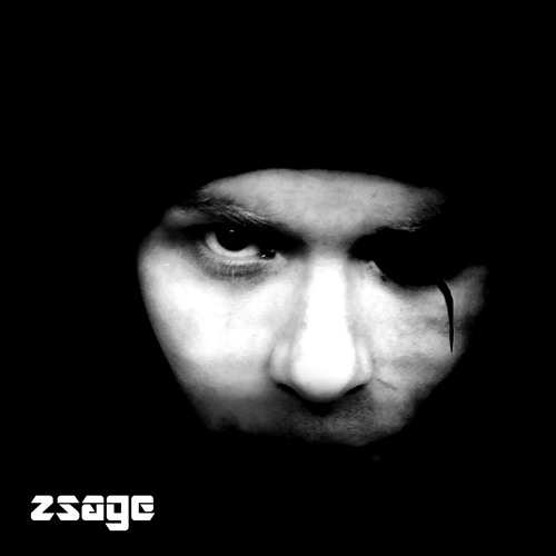 Zsage - promo mix 2013