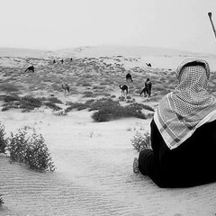 ياكثر ما قلت ابسوى