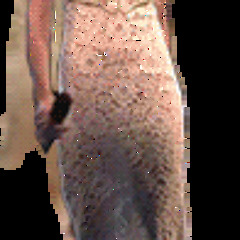 video gamez so serious