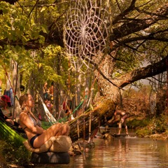 Psychedelic Playground