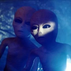 Mellow Fellow - Space Ships