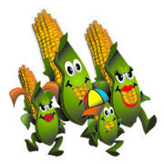 Rick e Renner - Festa do milho Verde