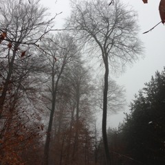 Clara Hill - Glacial Moraine (Original)