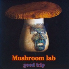 Mushroom Lab - Flute Story