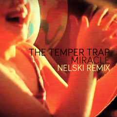 The Temper Trap - Miracle (Nelski Remix)